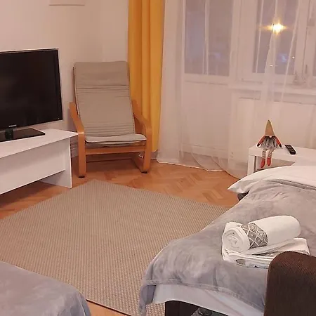 Sunflower Timişoara