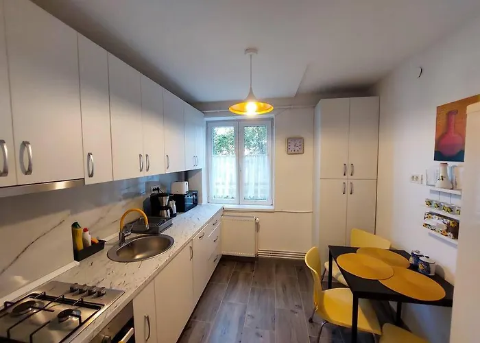 Sunflower * ティミショアラ