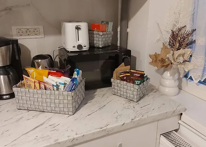 Sunflower ティミショアラ