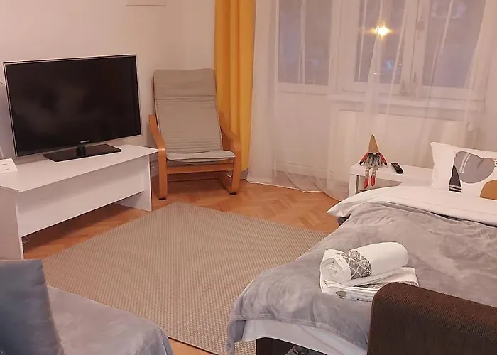 Sunflower ティミショアラ